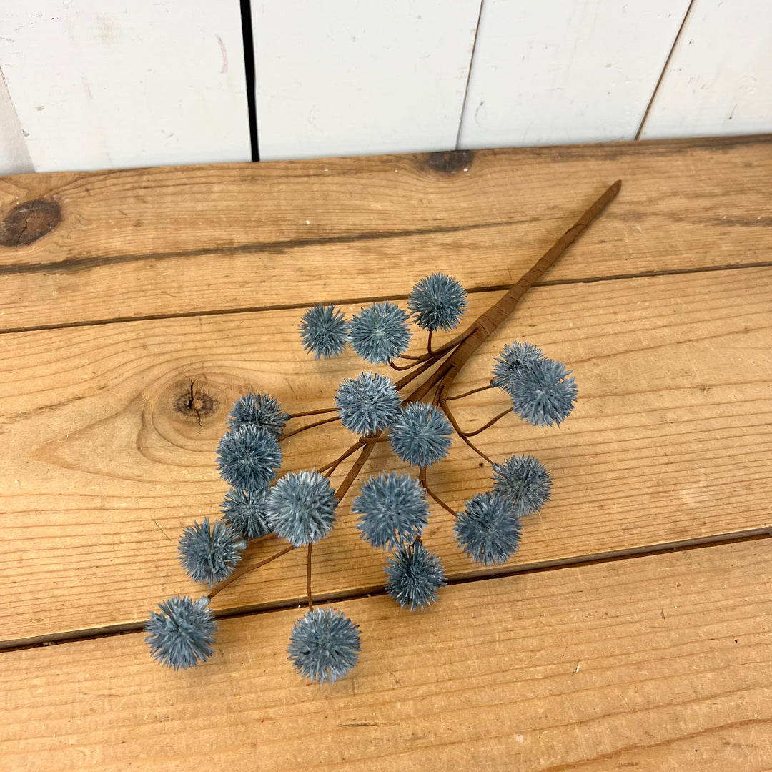 Blue Thistle Stem