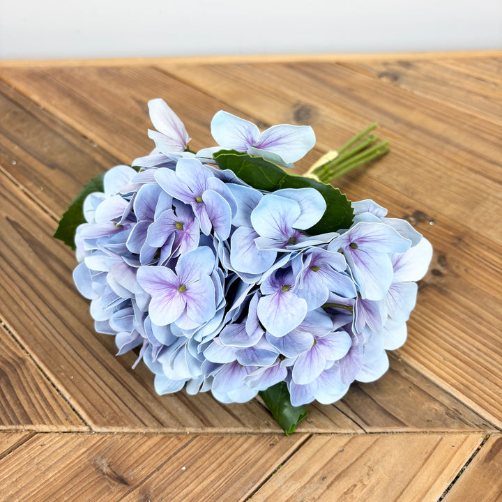 Hydrangea - 3 Colors