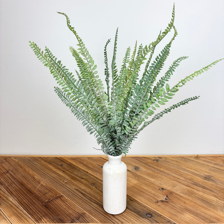 Sword Fern