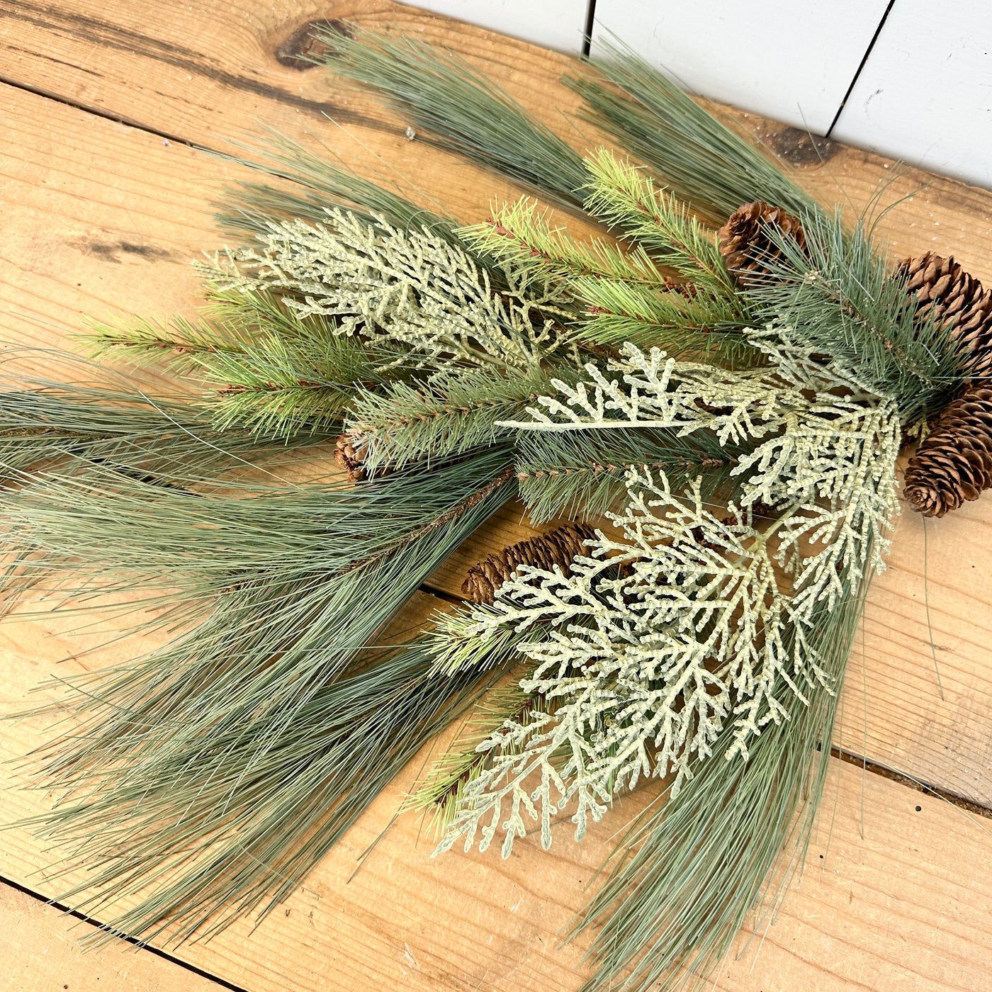 Long Cedar and Pine Stem