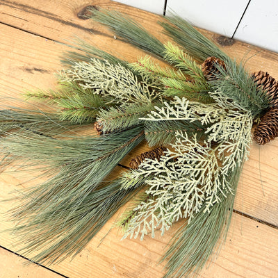 Long Cedar and Pine Stem