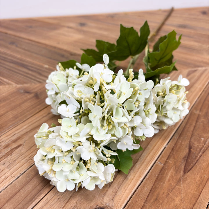 Real Feel Viburnum - 3 Colors