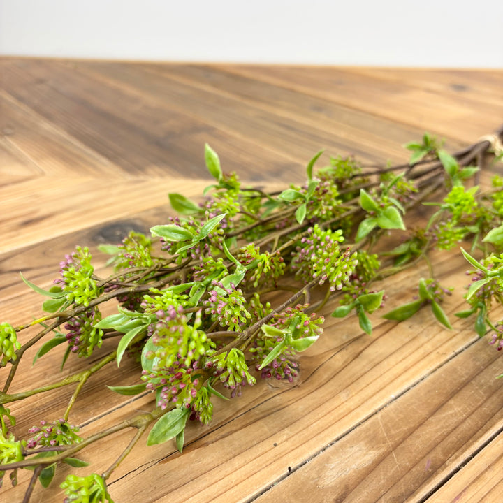 Berry Bundle - 2 Colors