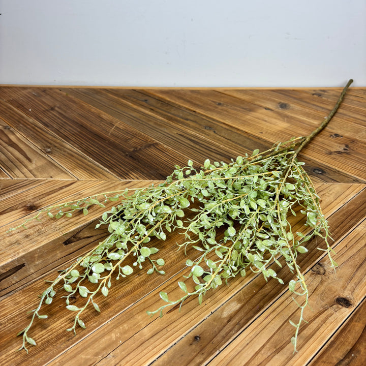 Button Leaf Collection