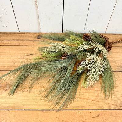 Long Cedar and Pine Stem