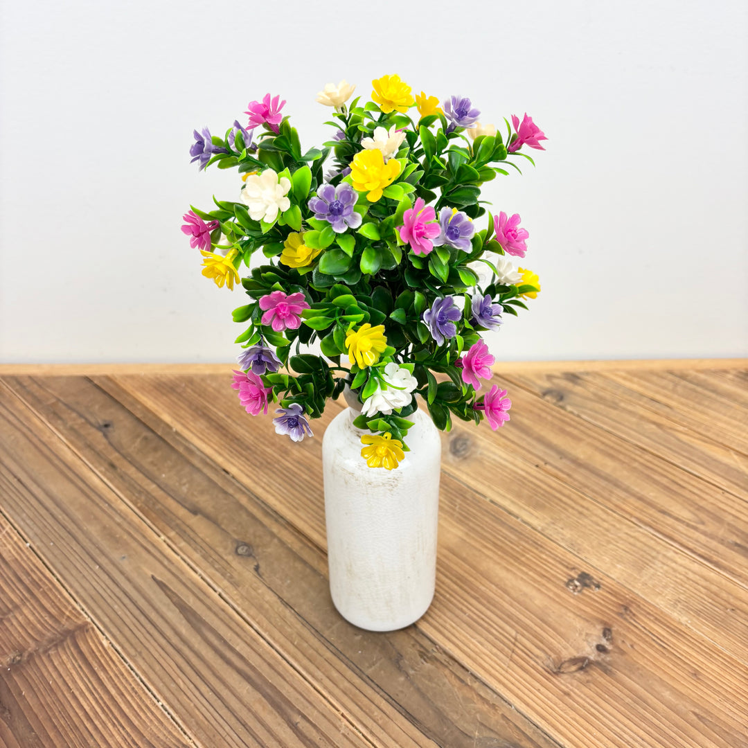 Mini Azalea Bush - 2 Colors