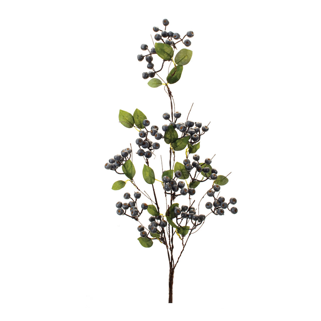 Blueberry Spray