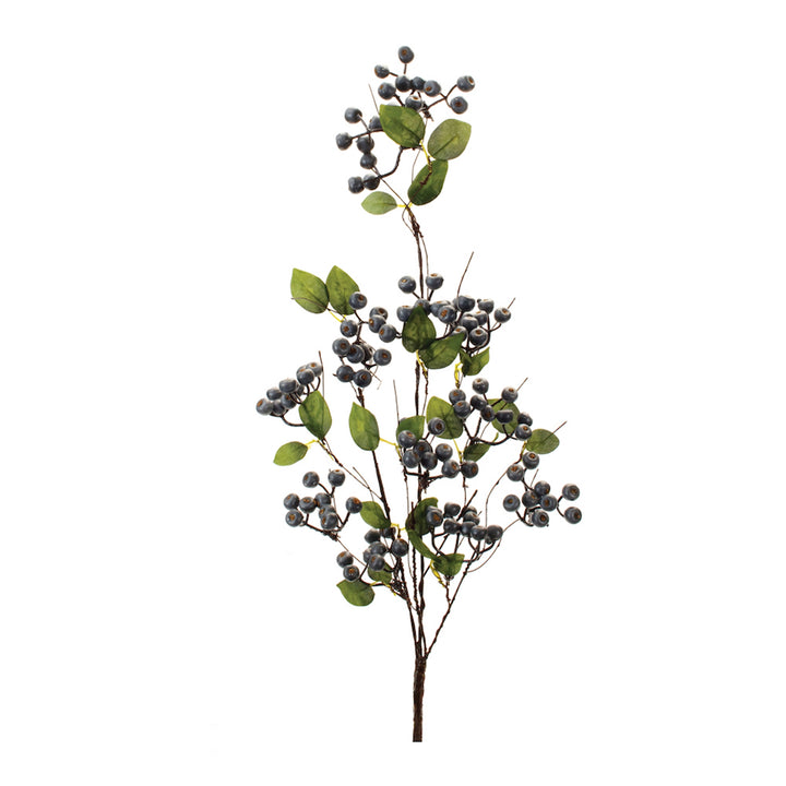 Blueberry Spray