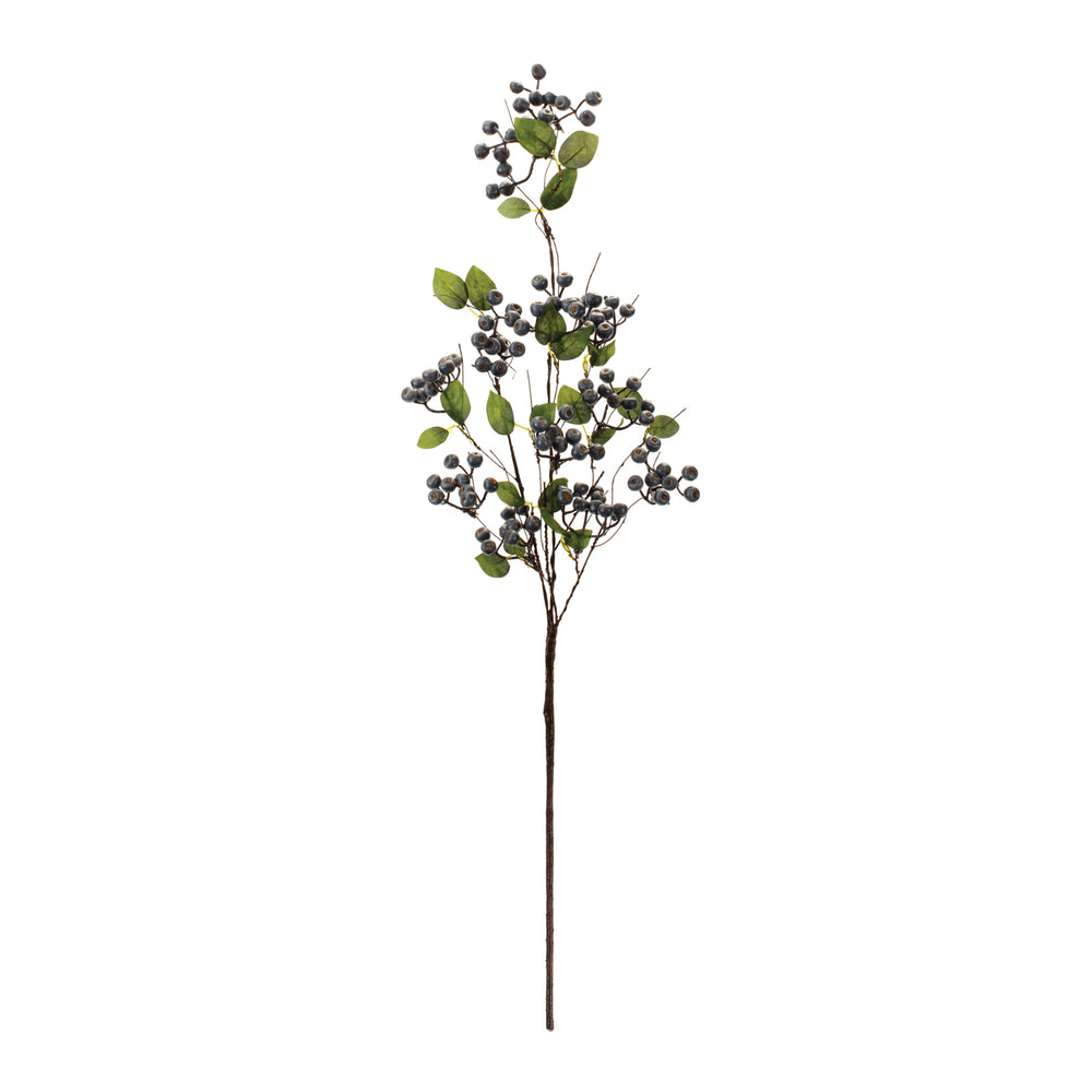 Blueberry Spray