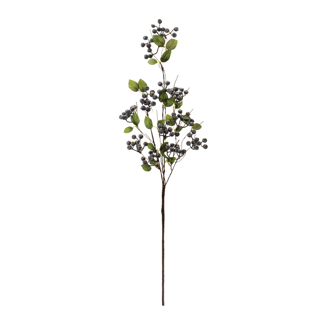 Blueberry Spray