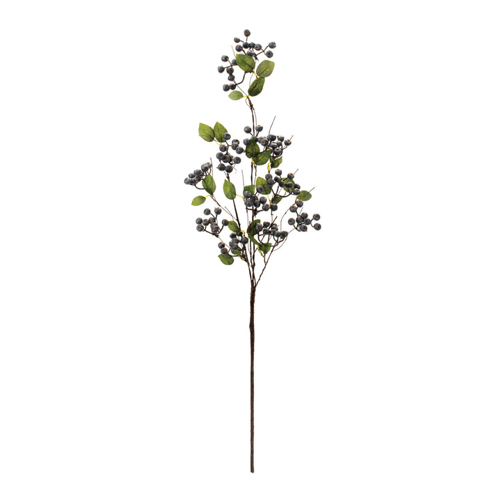 Blueberry Spray