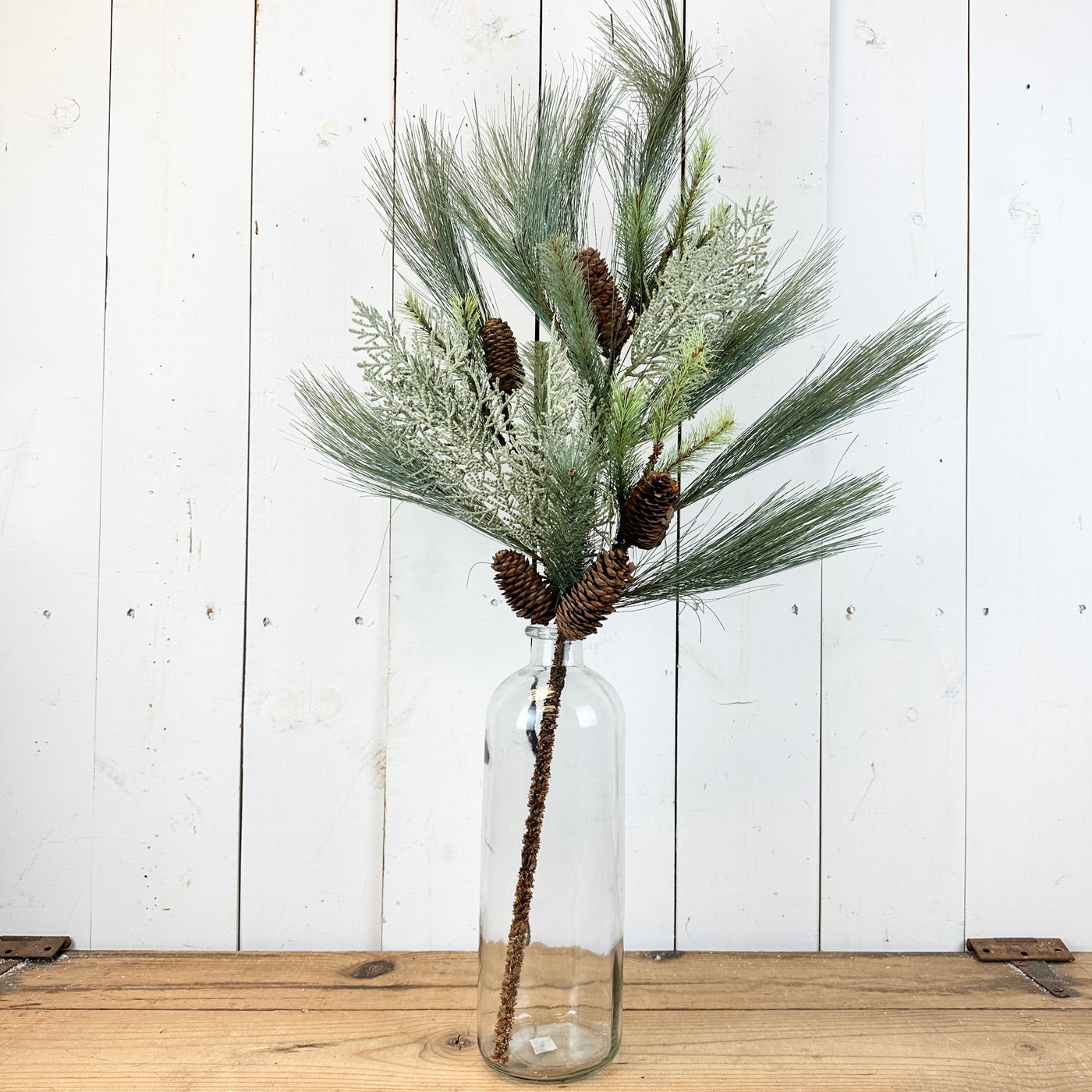 Long Cedar and Pine Stem