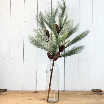 Long Cedar and Pine Stem