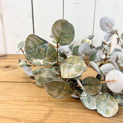 Sparkly Eucalyptus Collection