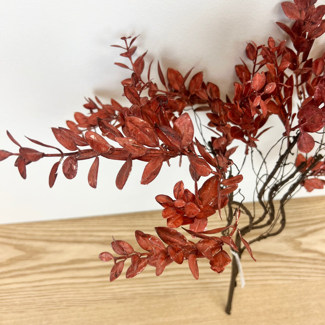 Red Mini Leaves Bush