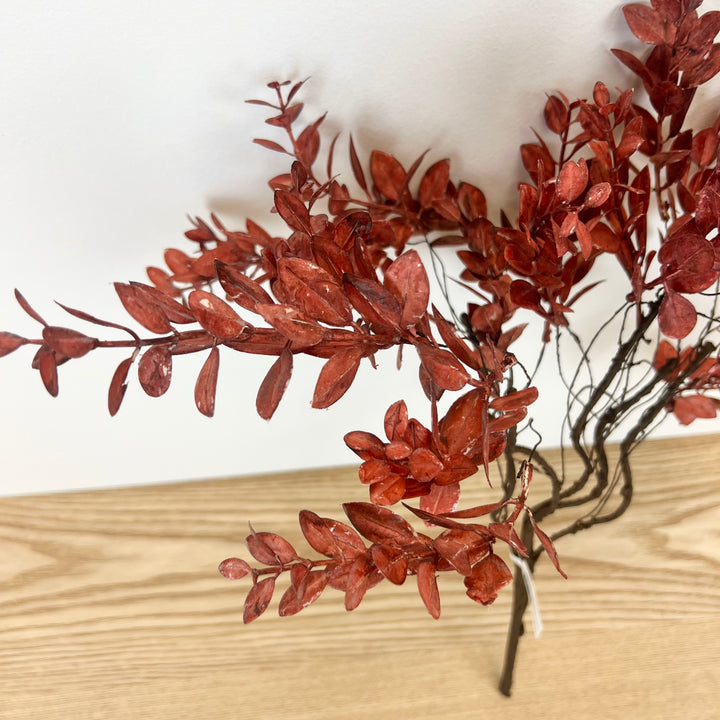 Red Mini Leaves Bush