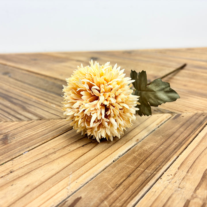Chrysanthemum Stem - 6 Colors