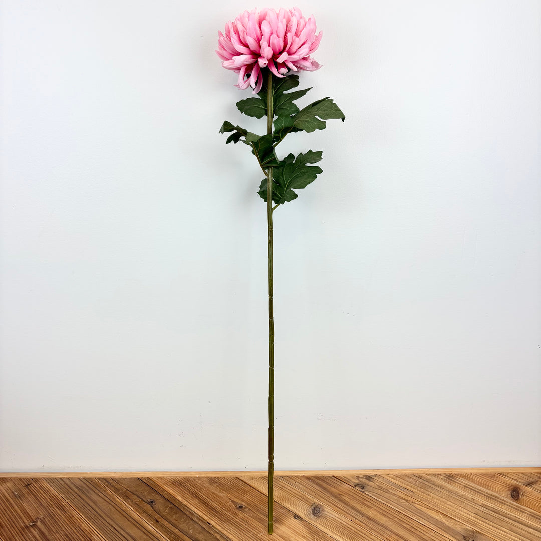 Chrysanthemum Long Stem - Light Pink