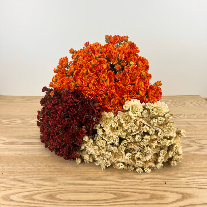 Fall Mum Bundles - 3 Colors