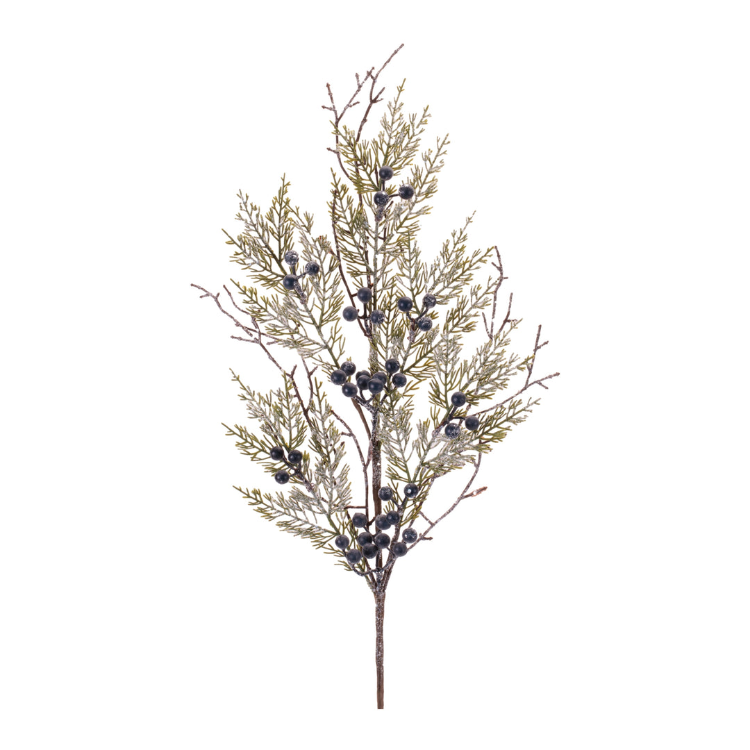 Juniper Spray