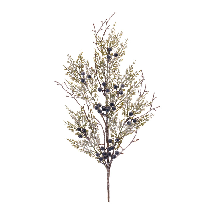 Juniper Spray