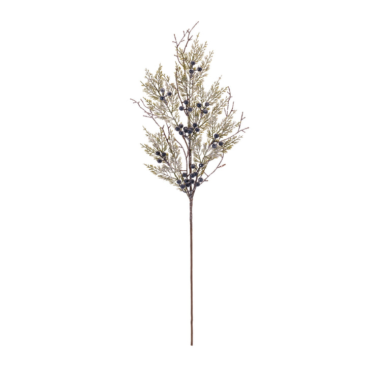 Juniper Spray 
