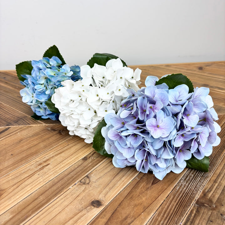 Hydrangea - 3 Colors