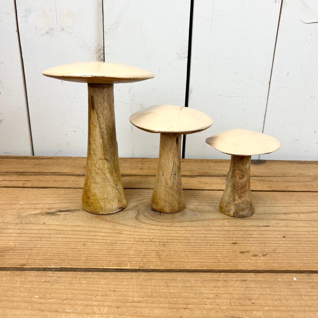 Tan Mushrooms