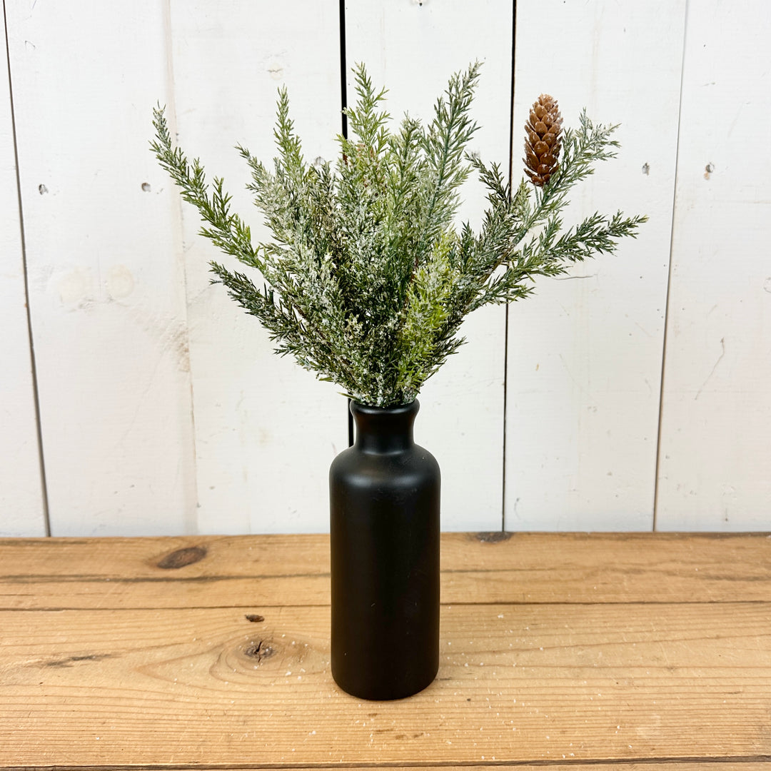 Frosted Arborvitae Stem