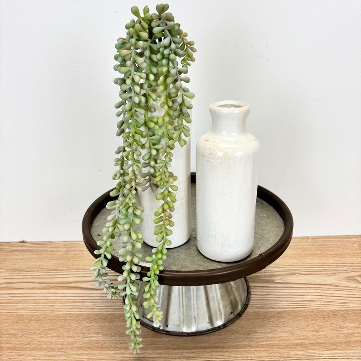 Jelly Bean Hanging Succulent