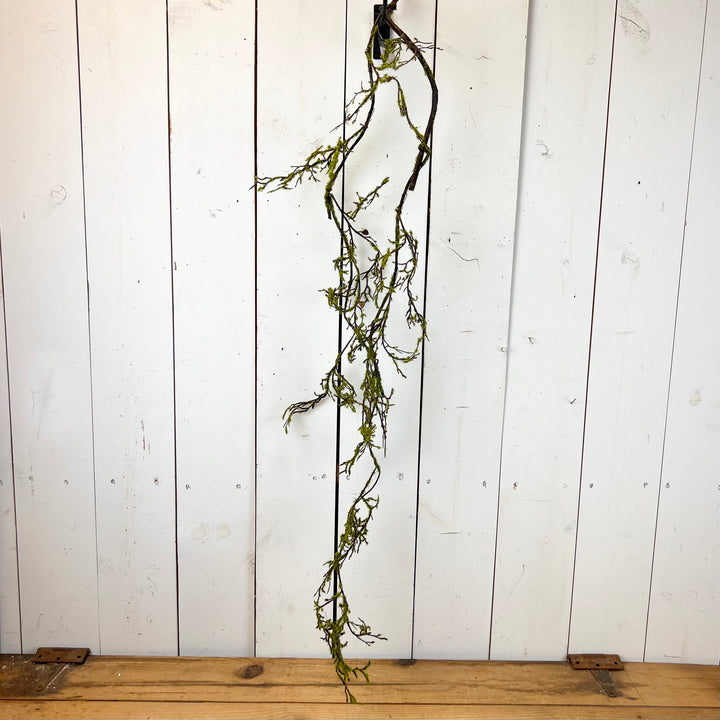 Mossy Twig Wreath & Long Stem