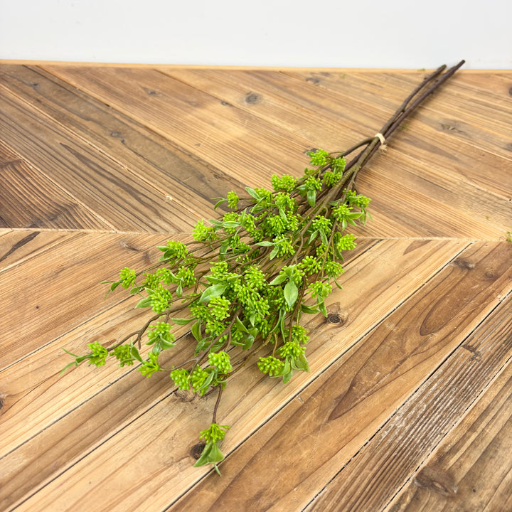 Berry Bundle - 2 Colors