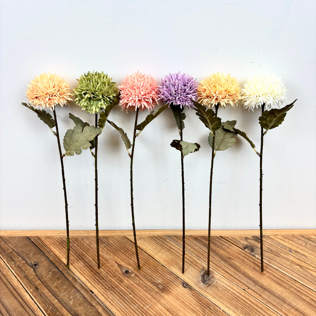 Chrysanthemum Stem - 6 Colors