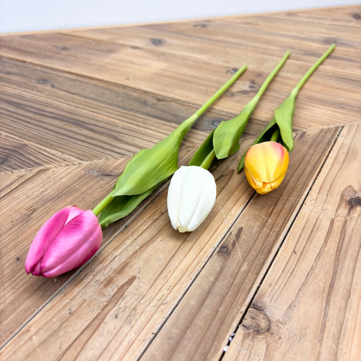 Tulip Stem - 3 Colors