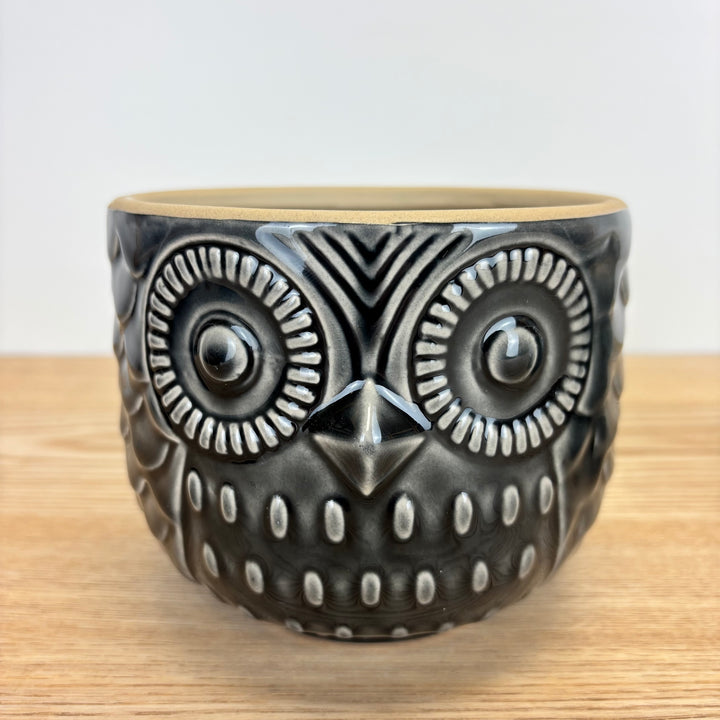 Owl Pots