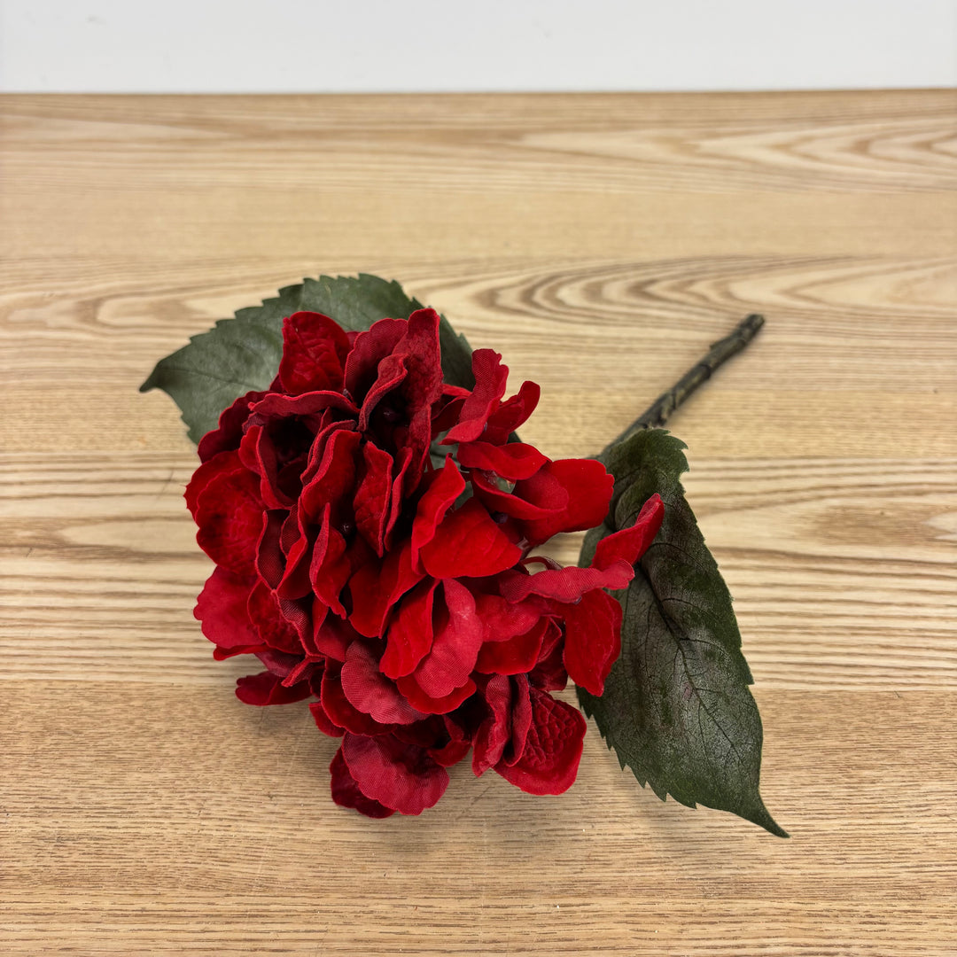 Velvet Hydrangea Stem