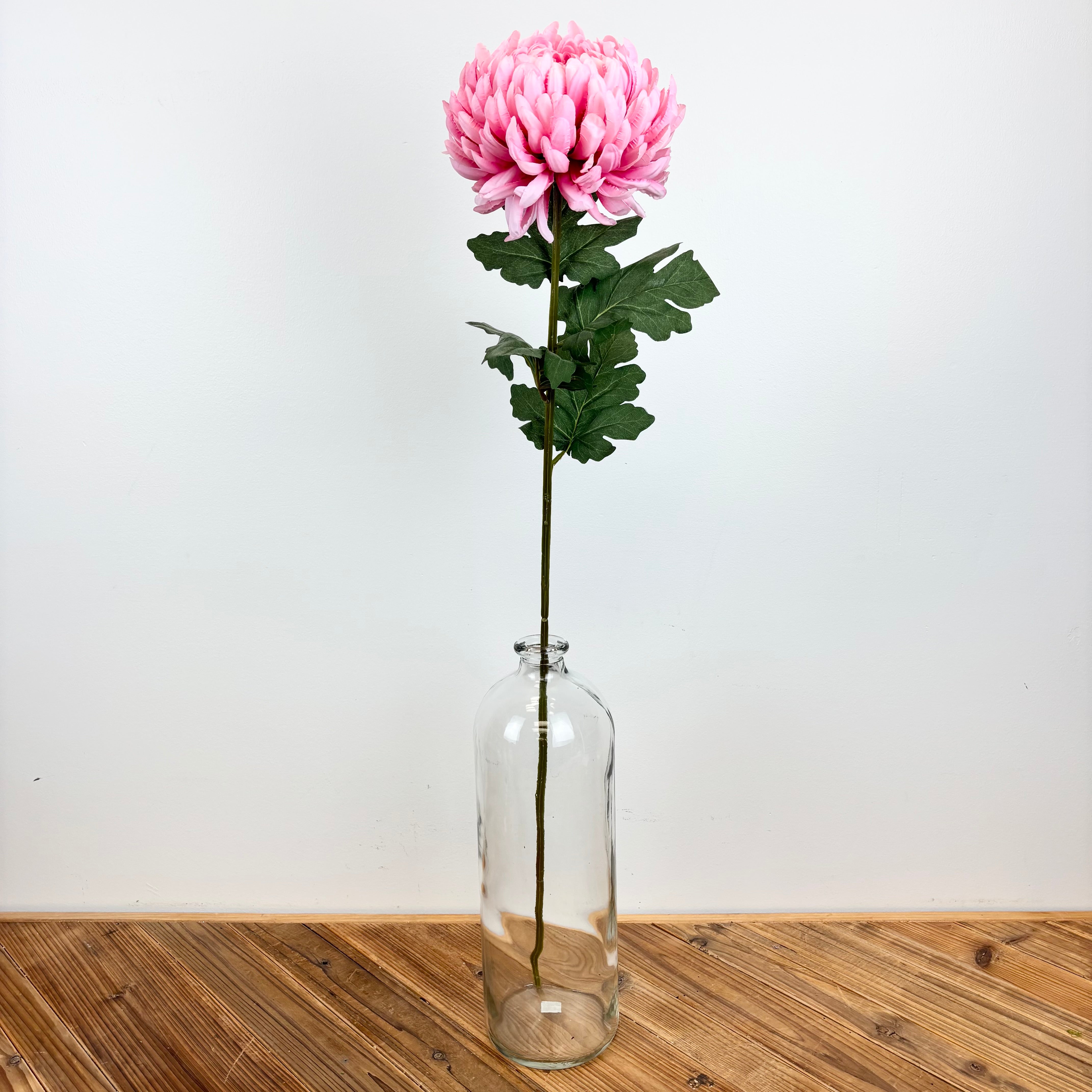 Chrysanthemum Long Stem - Light Pink – Prairie in Bloom