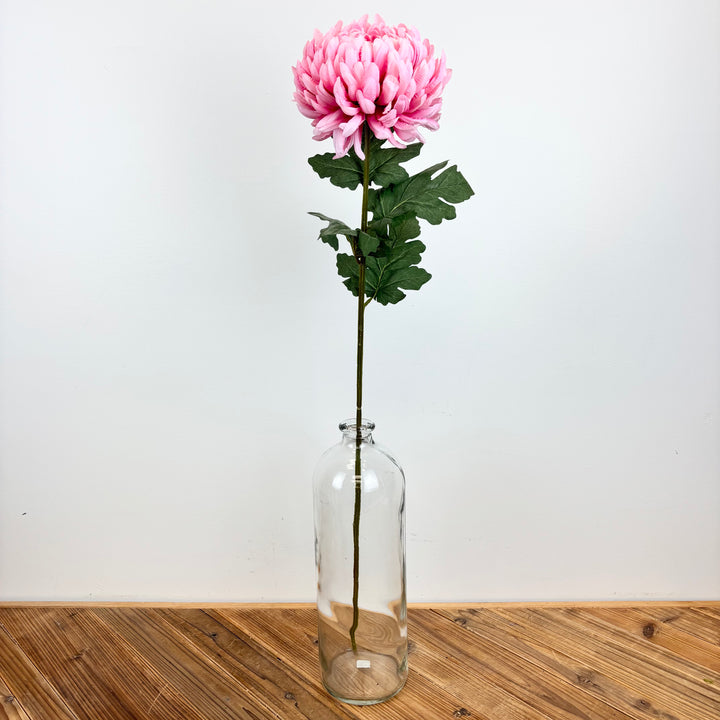Chrysanthemum Long Stem - Light Pink