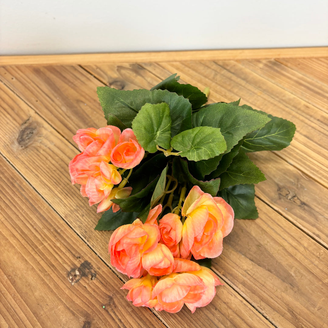 Begonia Bush - 2 Colors