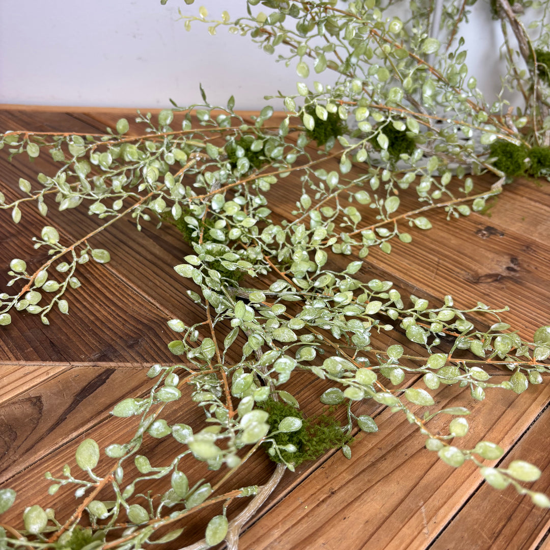 Button Leaf Collection