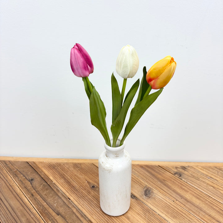 Tulip Stem - 3 Colors
