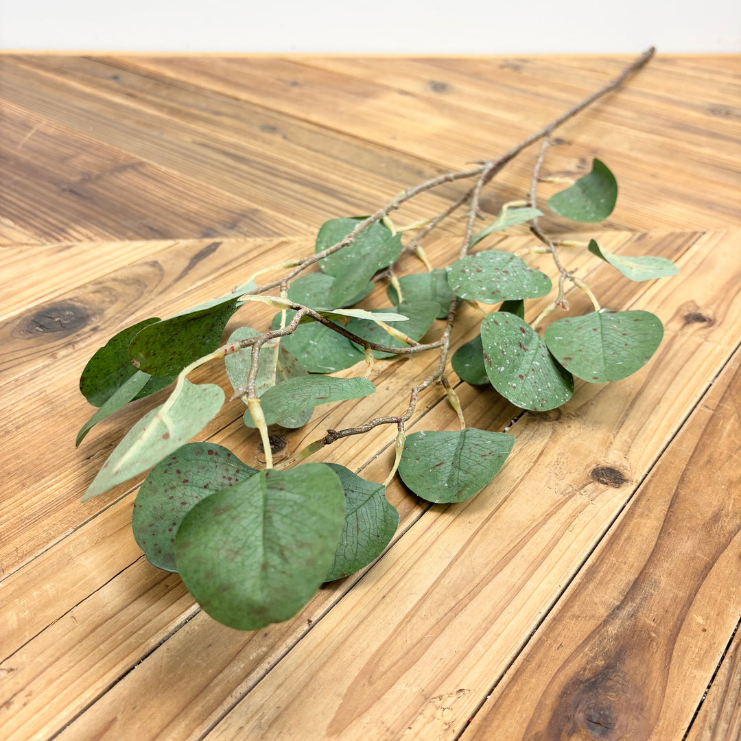 Real Touch Eucalyptus