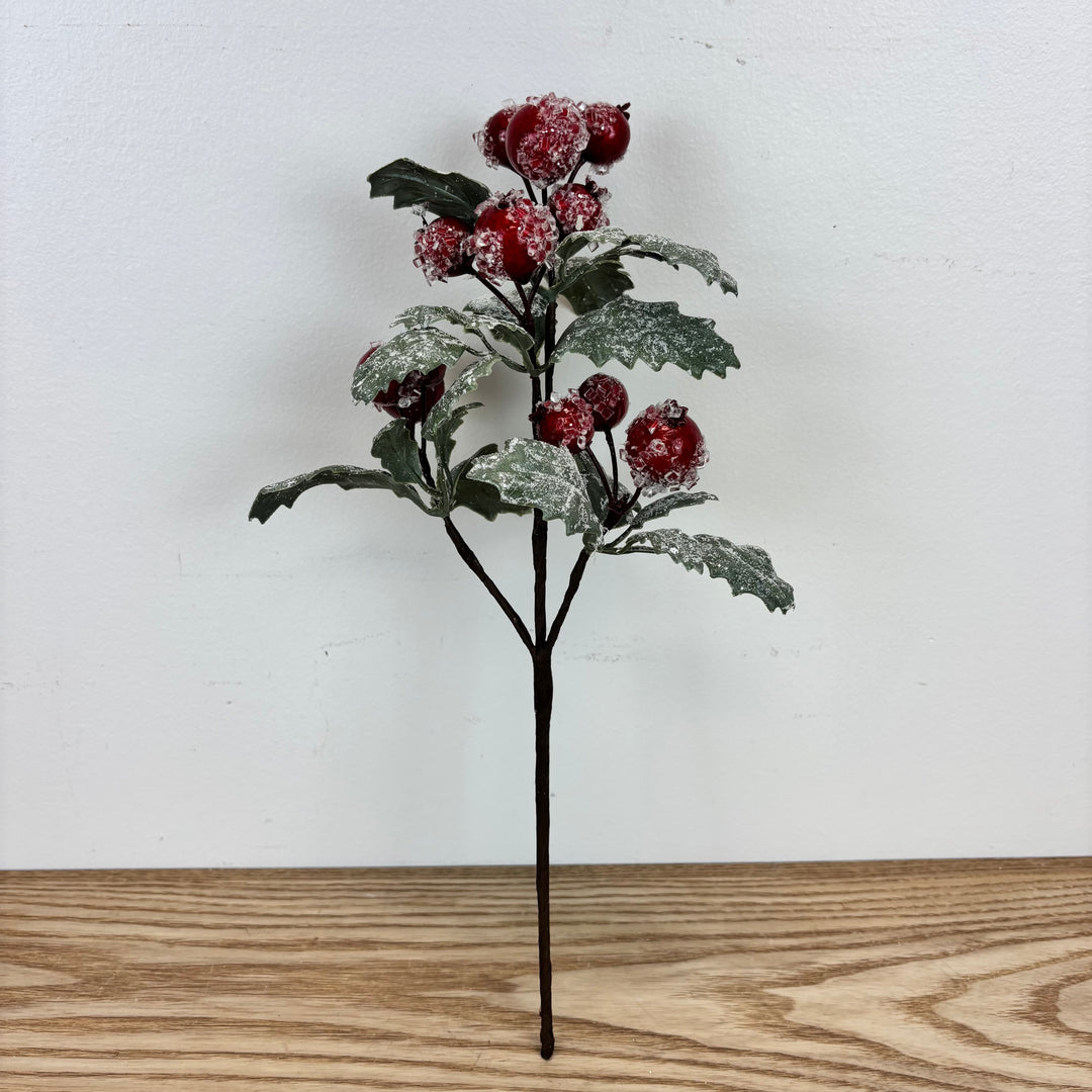 Iced Berry and Leaf Stem