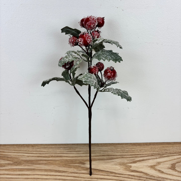 Iced Berry and Leaf Stem