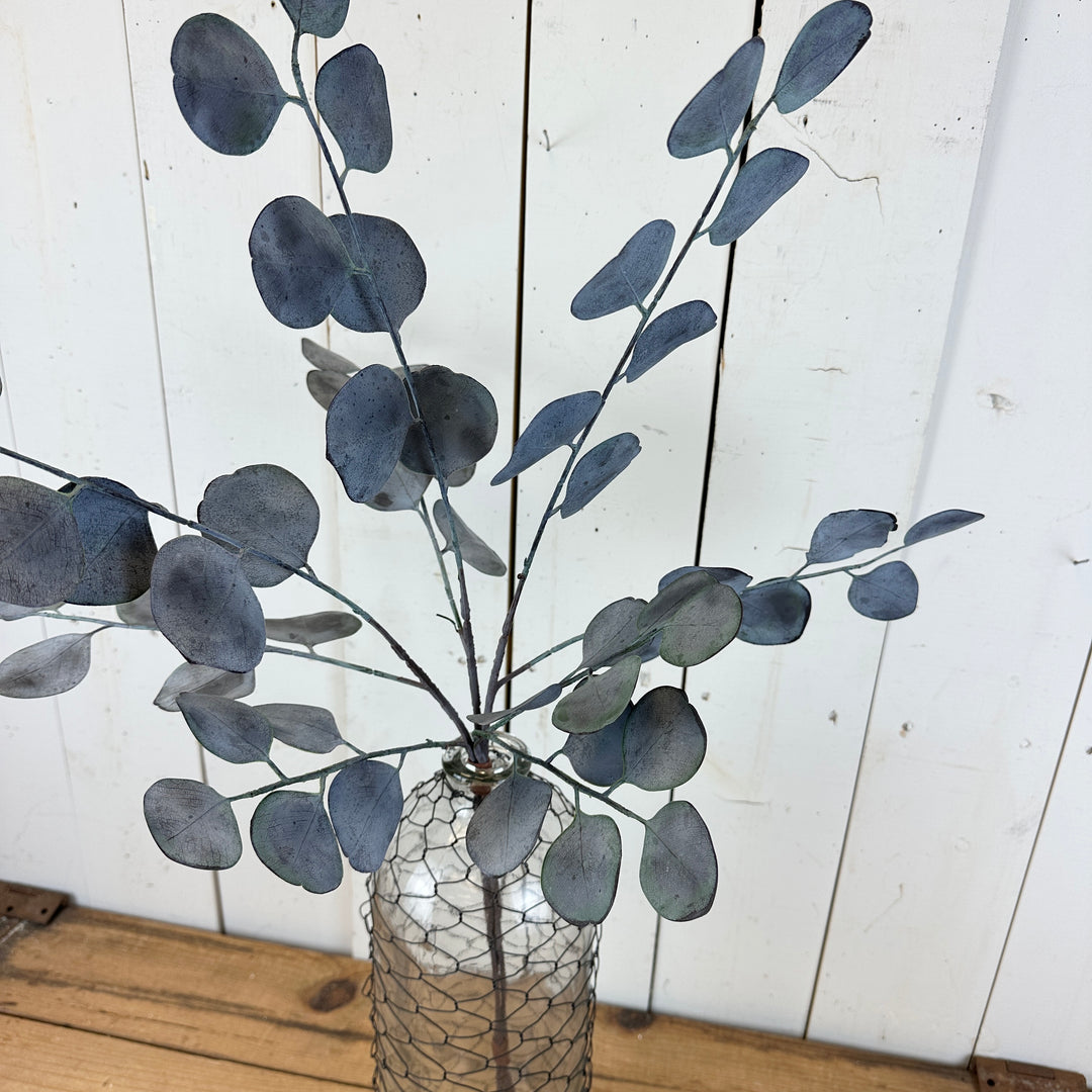 Silver Dollar Eucalyptus Bundles