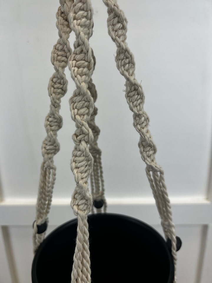 Cotton Plant Hanger