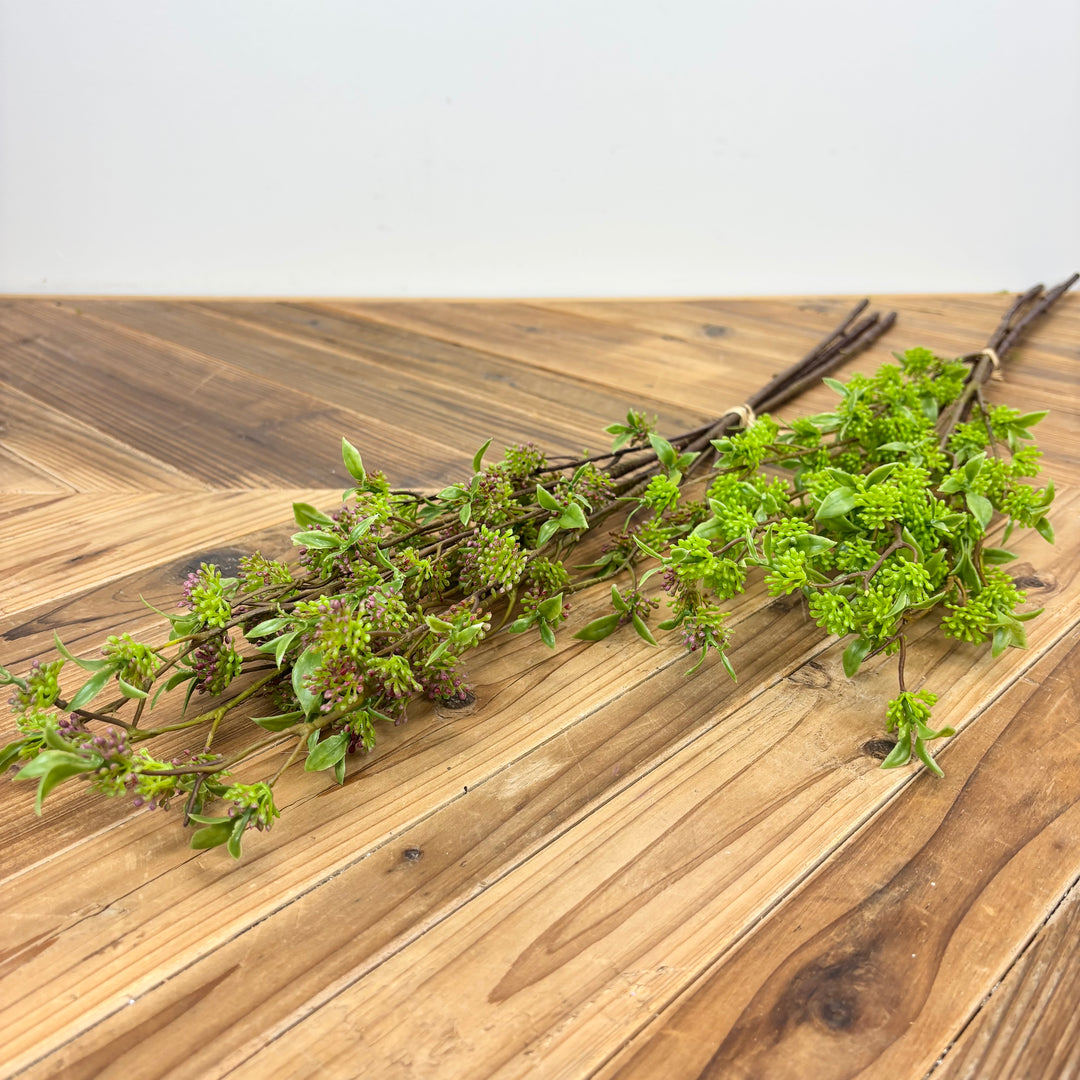 Berry Bundle - 2 Colors