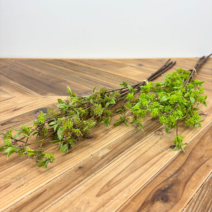 Berry Bundle - 2 Colors