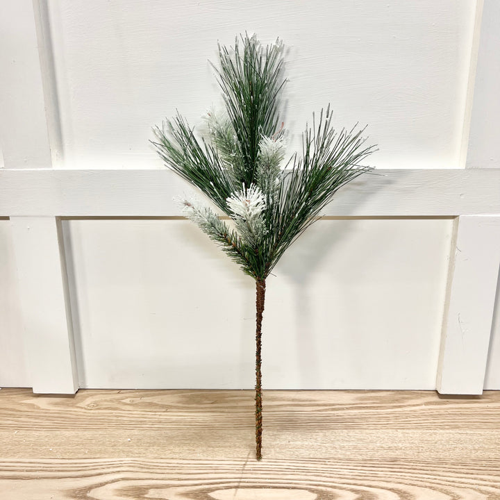 Iced Pine Stem