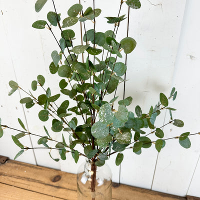Sparkly Eucalyptus Tall Stem Bundle